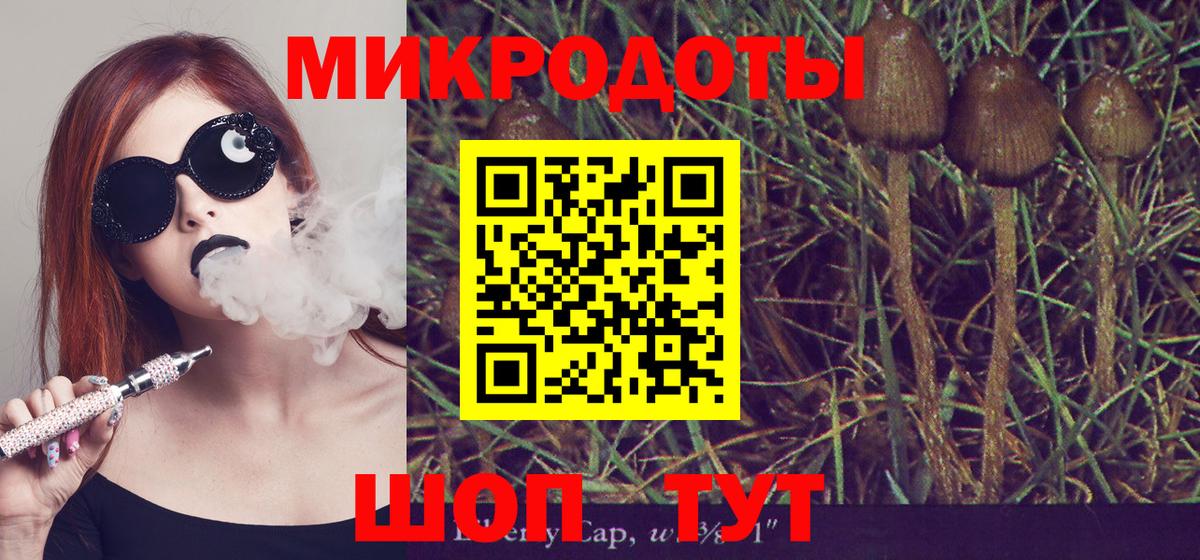 Галлюциногенные грибы GOLDEN TEACHER Белово