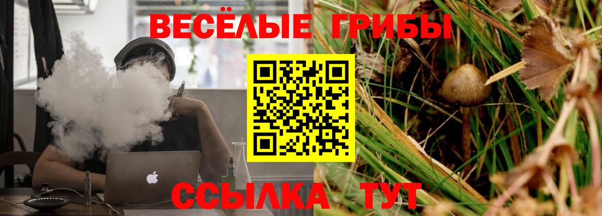 Галлюциногенные грибы прущие грибы  Белово 