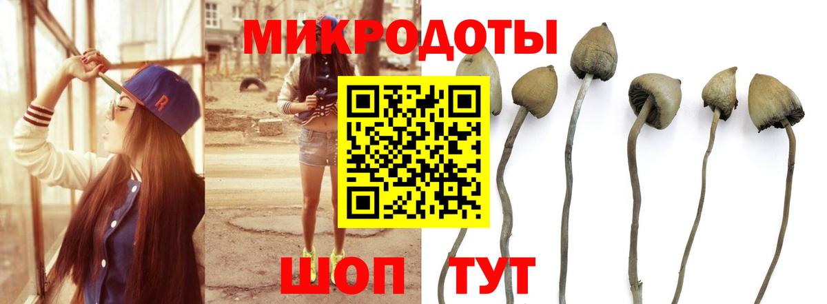 Белово  Псилоцибиновые грибы мухоморы  Вход с VPN 